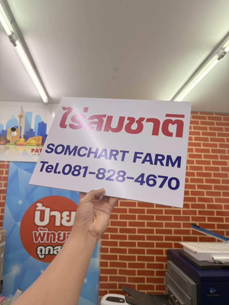 สติ๊กเกอร์ติดพลาสวูด